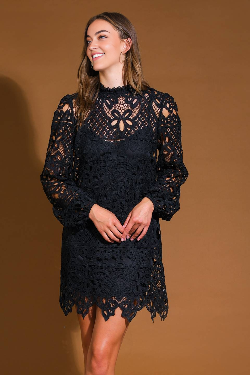 Prom Dress Woven Lace Mini Dress Featuring High Neckline Long Sleeve Back Neck Button Closure Formal November December Autumn Winter Wedding Guest Dress