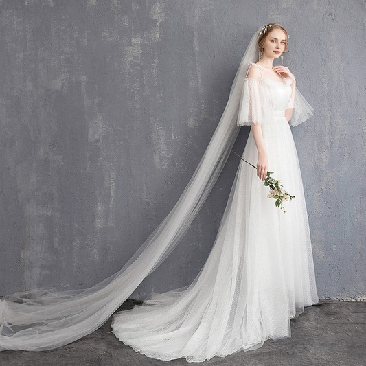 Wedding Dress Sweetheart A Line Tulle Spaghetti Strap Long Train Formal Wear Dresses No veil