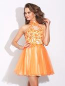 A-Line/Princess High Neck Ruffles Sleeveless Short Net Dresses