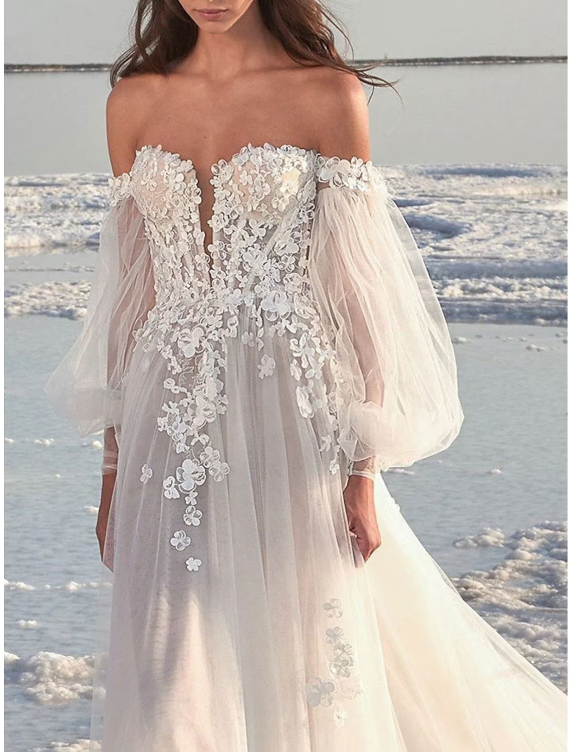 Beach Formal Wedding Dresses Court Train A-Line Long Sleeve One Shoulder Lace With Appliques