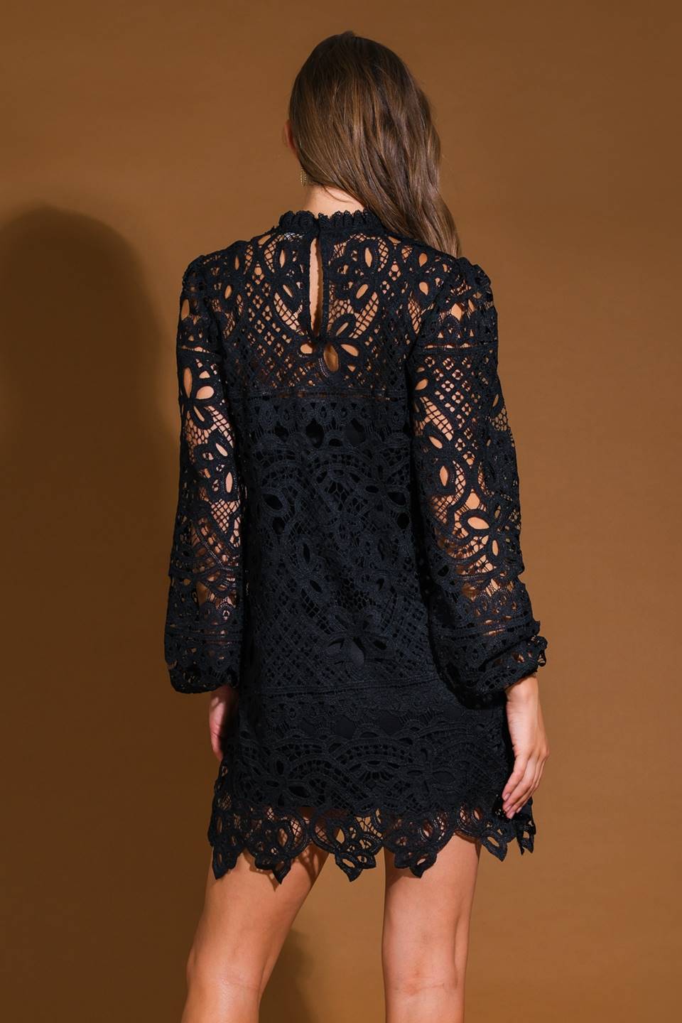 Prom Dress Woven Lace Mini Dress Featuring High Neckline Long Sleeve Back Neck Button Closure Formal November December Autumn Winter Wedding Guest Dress