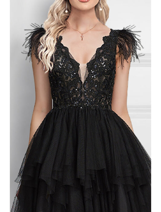 A-Line Prom Dresses Black Dress Wedding Party Floor Length Sleeveless V Neck Tulle with Feather Appliques